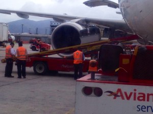 Bruno Bruno auf dem Laufband