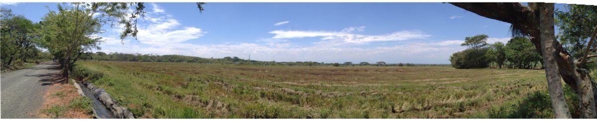 Montag, 20. August 2012 Asunción de la Virgen (Mariä Himmelfahrt) gesetzlicher Feiertag in&nbsp;Kolumbien