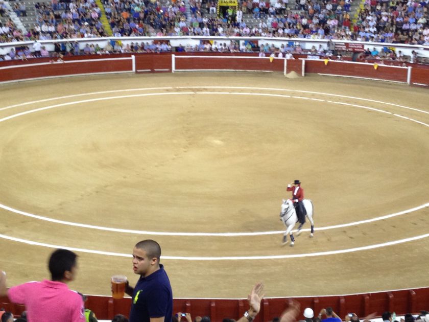 Vorstellung der Stierzucht