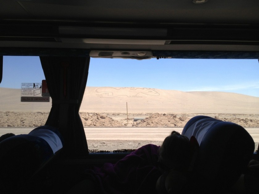 Blick aus dem Busfenster