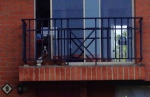 Sound am Sonntagnachmittag