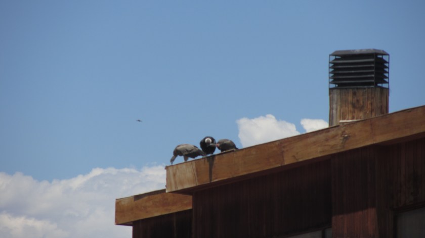 ...auf dem Hoteldach