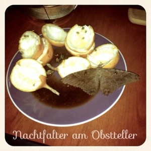 Neuigkeiten aus Cali – Erdbeben am Samstag –&nbsp;Gewalttaten