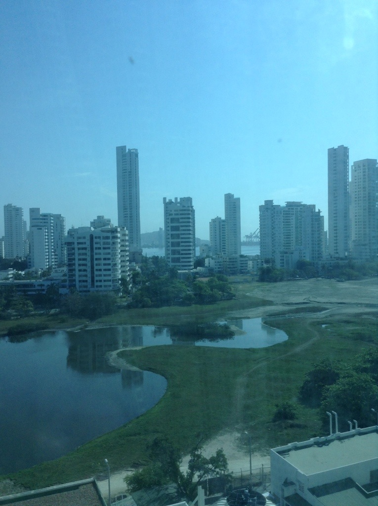 20130401-084451.jpg