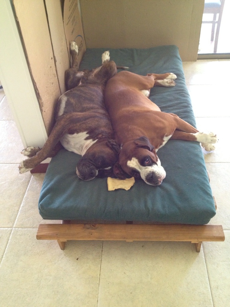 ...ziemlich kuschelig.