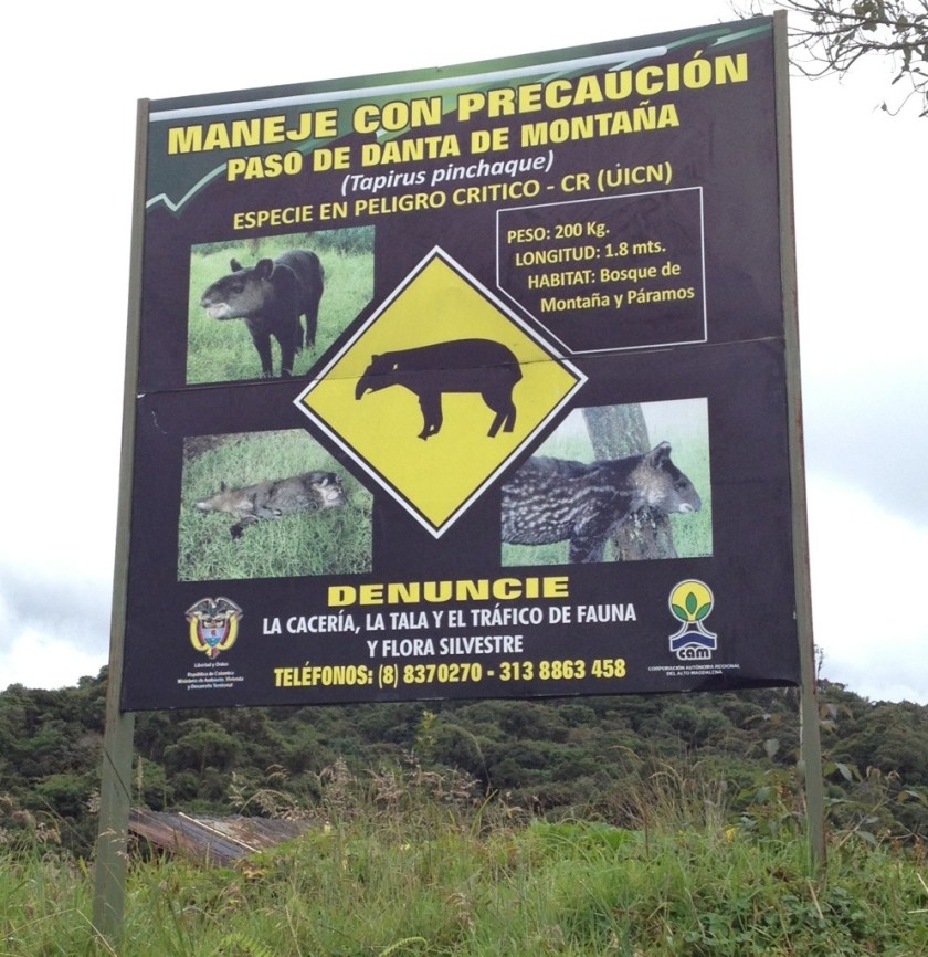 Vorsicht: Tapir kreuzt!!!