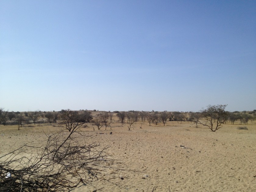 In der Sechura-Wüste